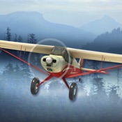 飞机飞行丛林飞行员模拟器